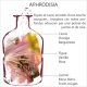 Diffuseur Prodige Aphrodisia