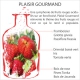 Diffuseur Prodige Plaisir Gourmand